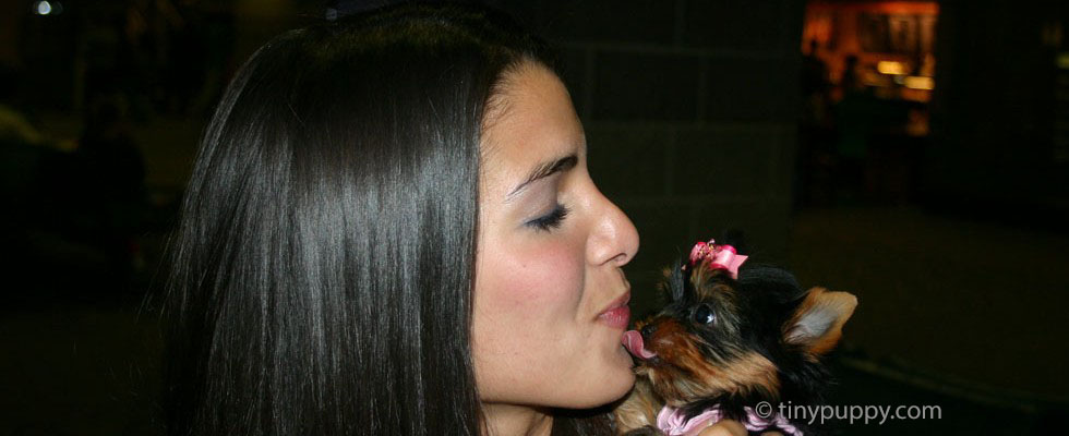 tinypuppy.com tinypuppy.com